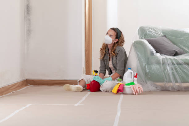 Reliable Mold Remediation contractor in Suttons Bay, MI by WQB Mold Removal